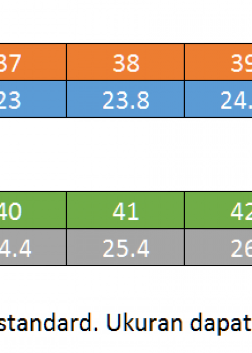 size-chart-sepatu-pria-wanita (1)